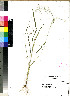  ( - PRE196)  @11 [ ] No Rights Reserved (2011) Olivier Maurin University of Johannesburg