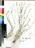  ( - PRE262)  @11 [ ] No Rights Reserved (2011) Olivier Maurin University of Johannesburg