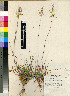  ( - PRE408)  @11 [ ] Unspecified (default): All Rights Reserved  Unspecified Unspecified