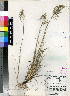 ( - PRE410)  @11 [ ] Unspecified (default): All Rights Reserved  Unspecified Unspecified