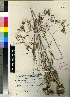  ( - PRE414)  @11 [ ] Unspecified (default): All Rights Reserved  Unspecified Unspecified