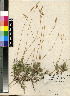  ( - PRE434)  @11 [ ] Unspecified (default): All Rights Reserved  Unspecified Unspecified