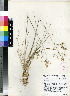  ( - PRE436)  @11 [ ] Unspecified (default): All Rights Reserved  Unspecified Unspecified