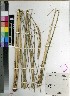  ( - PRE458)  @11 [ ] Unspecified (default): All Rights Reserved  Unspecified Unspecified