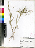  ( - PRE482)  @11 [ ] No Rights Reserved  Unspecified Unspecified