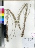  ( - PRE489)  @11 [ ] Unspecified (default): All Rights Reserved  Unspecified Unspecified