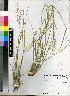  ( - PRE495)  @11 [ ] No Rights Reserved  Unspecified Unspecified