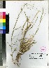  ( - PRE497)  @11 [ ] Unspecified (default): All Rights Reserved  Unspecified Unspecified