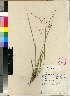  ( - PRE505)  @11 [ ] Unspecified (default): All Rights Reserved  Unspecified Unspecified