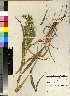  ( - PRE508)  @11 [ ] Unspecified (default): All Rights Reserved  Unspecified Unspecified