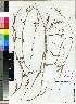  ( - PRE509)  @11 [ ] Unspecified (default): All Rights Reserved  Unspecified Unspecified
