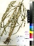  ( - PRE546)  @11 [ ] No Rights Reserved  Unspecified Unspecified