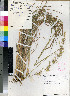  ( - PRE623)  @11 [ ] No Rights Reserved  Unspecified Unspecified