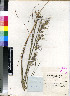  ( - PRE626)  @11 [ ] No Rights Reserved  Unspecified Unspecified
