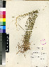  ( - PRE632)  @11 [ ] No Rights Reserved  Unspecified Unspecified