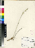  ( - PRE633)  @11 [ ] No Rights Reserved  Unspecified Unspecified