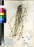  ( - PRE635)  @11 [ ] No Rights Reserved  Unspecified Unspecified
