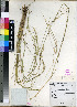 ( - PRE640)  @11 [ ] No Rights Reserved  Unspecified Unspecified