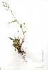  ( - YBK063)  @11 [ ] Copyright  - Unspecified