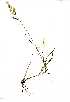  ( - YBK207)  @11 [ ] Copyright  - Unspecified