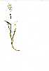 ( - YBK229)  @11 [ ] Copyright  - Unspecified