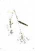  ( - YBK345)  @11 [ ] Copyright  - Unspecified