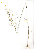  ( - YBK376)  @11 [ ] Copyright  - Unspecified