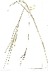  ( - YBK401)  @11 [ ] Copyright  - Unspecified