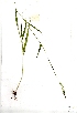  ( - YBK408)  @11 [ ] Copyright  - Unspecified