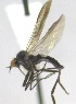  ( - KNWR-Ento-4996)  @13 [ ] No Rights Reserved (2014) Unspecified U.S. Fish and Wildlife Service