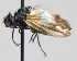  ( - KNWR-Ento-7439)  @13 [ ] No Rights Reserved (2014) Unspecified U.S. Fish and Wildlife Service