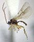  ( - KNWR 1508)  @12 [ ] No Rights Reserved (2012) Unspecified U.S. Fish and Wildlife Service