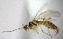  (Aspilota sp. 1MJS - KNWR 2196)  @11 [ ] No Rights Reserved (2012) Unspecified U.S. Fish and Wildlife Service