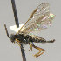  ( - KNWR 3236)  @13 [ ] No Rights Reserved (2012) Unspecified U.S. Fish and Wildlife Service