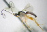  ( - KNWR 3887)  @13 [ ] No Rights Reserved (2012) Unspecified U.S. Fish and Wildlife Service