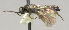  ( - KNWR 4061)  @12 [ ] No Rights Reserved (2012) Unspecified U.S. Fish and Wildlife Service