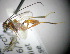  ( - KNWR 6277)  @12 [ ] No Rights Reserved (2012) Unspecified U.S. Fish and Wildlife Service