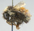  ( - KNWR 6412)  @11 [ ] No Rights Reserved (2012) Unspecified U.S. Fish and Wildlife Service