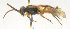  ( - KNWR 6668)  @13 [ ] No Rights Reserved (2012) Unspecified U.S. Fish and Wildlife Service