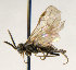 ( - KNWR 6758)  @13 [ ] No Rights Reserved (2012) Unspecified U.S. Fish and Wildlife Service