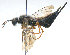  ( - KNWR 7175)  @13 [ ] No Rights Reserved (2012) Unspecified U.S. Fish and Wildlife Service