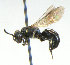  ( - KNWR 8380)  @14 [ ] No Rights Reserved (2012) Unspecified U.S. Fish and Wildlife Service