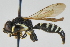  ( - KNWR 8386)  @13 [ ] No Rights Reserved (2012) Unspecified U.S. Fish and Wildlife Service