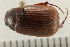  ( - 08OEC-083)  @14 [ ] CreativeCommons - Attribution (2008) Unspecified Centre for Biodiversity Genomics
