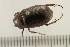  ( - 08OEC-085)  @13 [ ] CreativeCommons - Attribution (2008) Unspecified Centre for Biodiversity Genomics