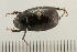  ( - 08OEC-086)  @13 [ ] CreativeCommons - Attribution (2008) Unspecified Centre for Biodiversity Genomics