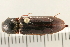  ( - 08OEC-108)  @13 [ ] CreativeCommons - Attribution (2008) Unspecified Centre for Biodiversity Genomics