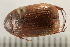  ( - 08OEC-183)  @13 [ ] CreativeCommons - Attribution (2008) Unspecified Centre for Biodiversity Genomics