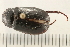  ( - 08OEC-184)  @14 [ ] CreativeCommons - Attribution (2008) Unspecified Centre for Biodiversity Genomics