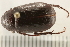  ( - 08OEC-185)  @14 [ ] CreativeCommons - Attribution (2008) Unspecified Centre for Biodiversity Genomics